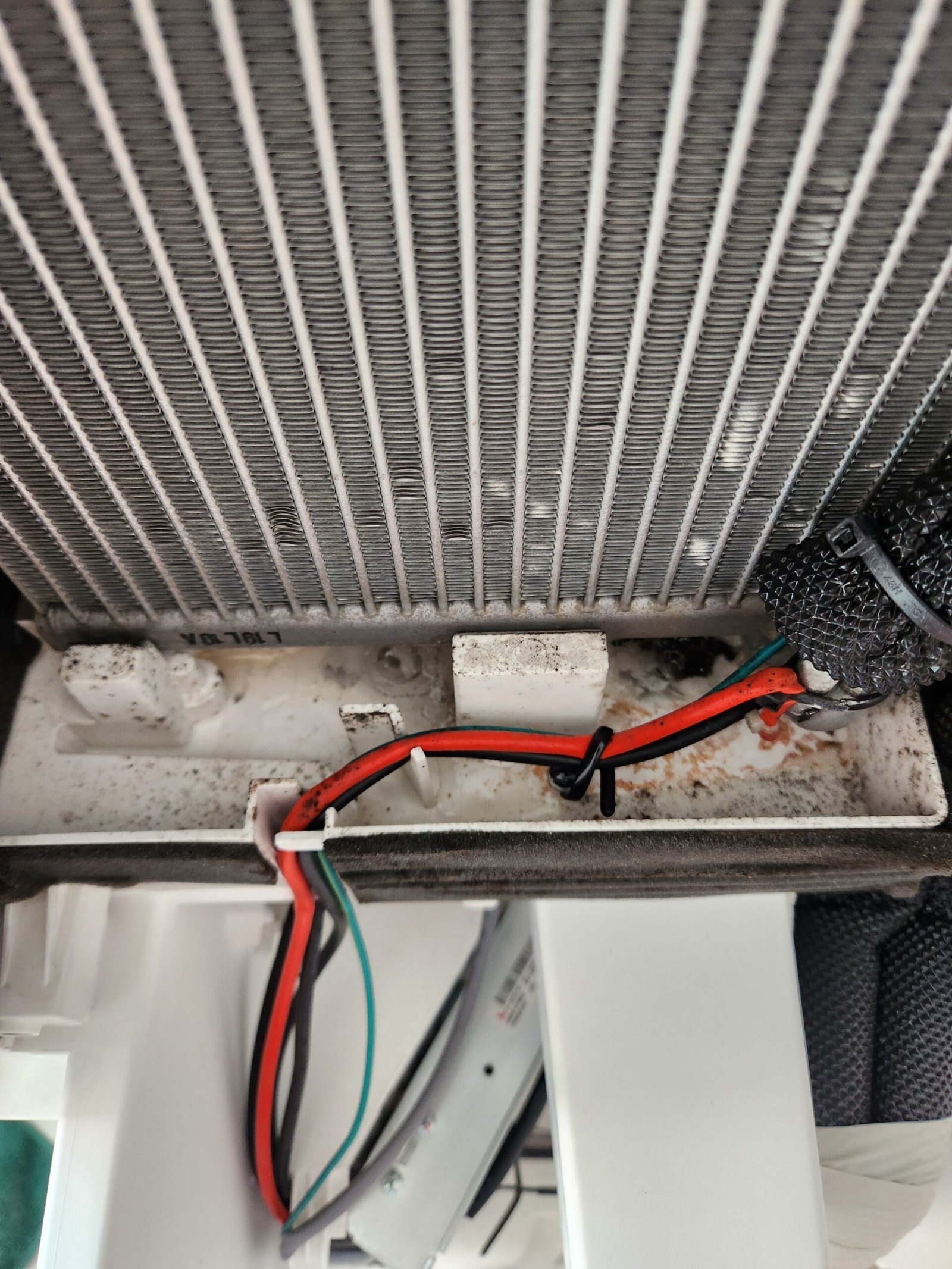 Before deep cleaning